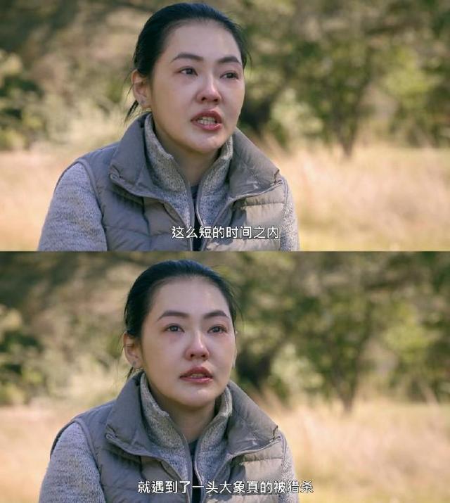 小S心疼被猎杀的大象