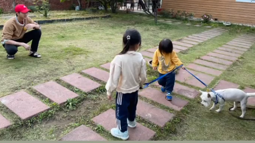  Jiang Hongjie basks in daily photos with children 