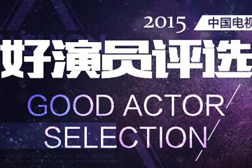 2015好演员