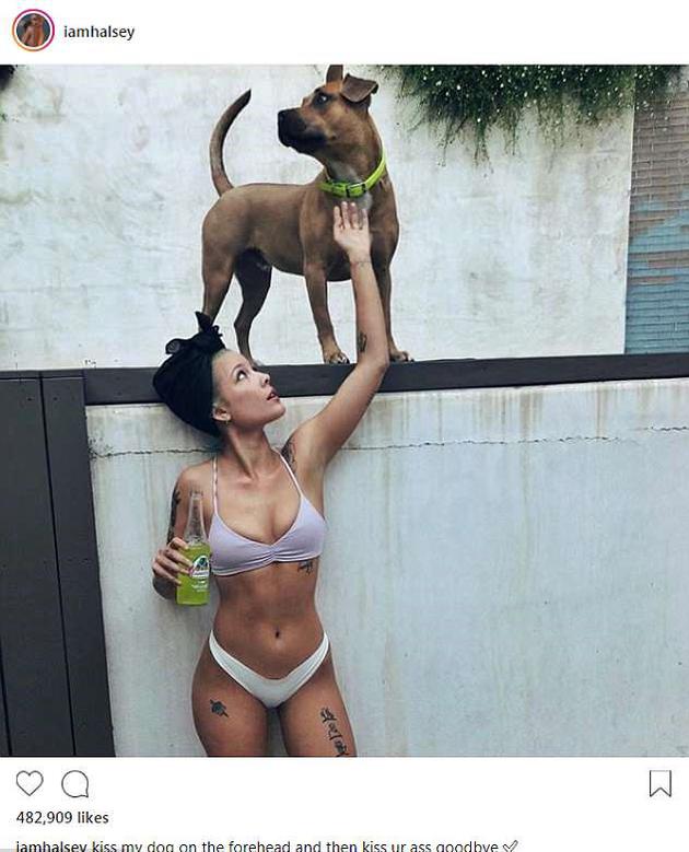 海尔希社交网络截图