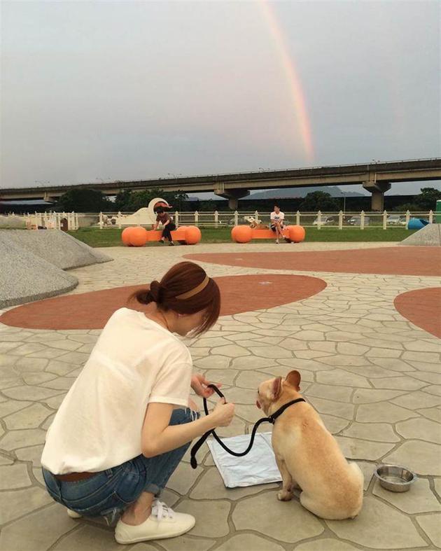 王心凌与喜欢犬