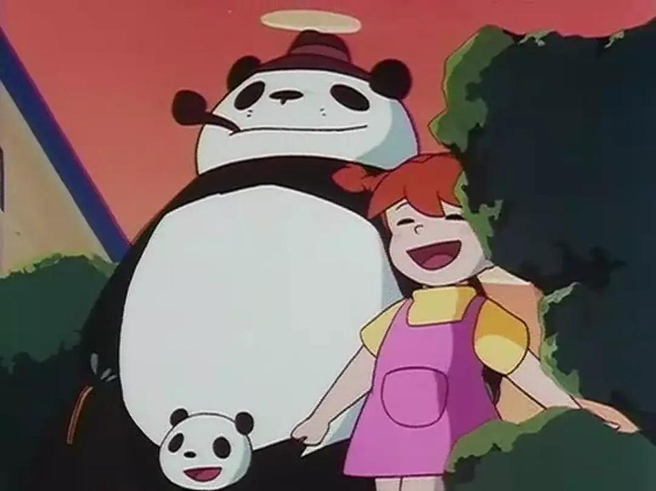 熊猫家族资料页_娱乐资料库_新浪娱乐_新浪网