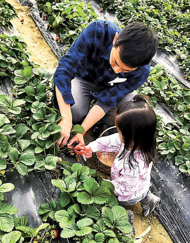 花式陪孩子!吴京谢楠给儿子理发 吴尊陪女儿练武
