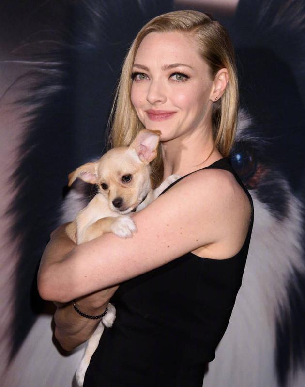 阿曼达·塞弗里德