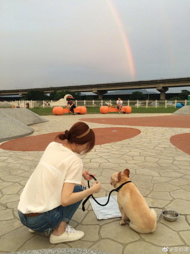 王心凌和爱犬布鲁托