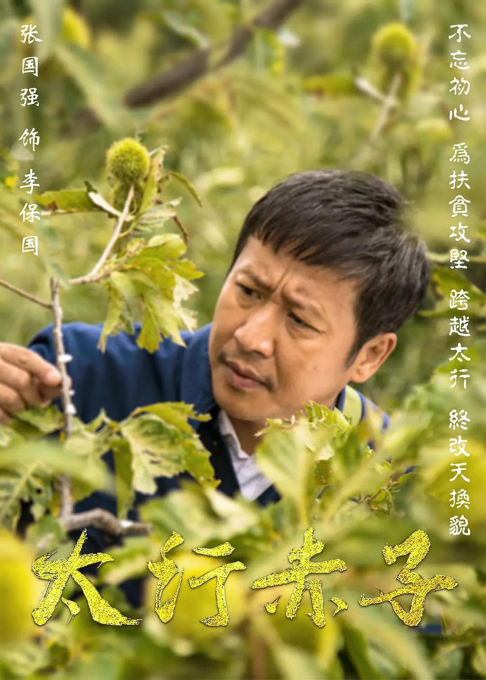海报剧照剧情:电视剧《太行赤子李保国》以受到社会各界广泛关注的