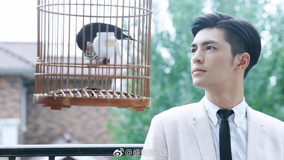 盛势资料页_娱乐资料库_新浪娱乐_新浪网