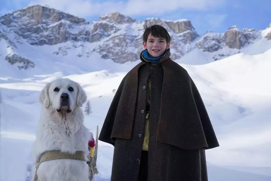 灵犬雪莉3资料页_娱乐资料库_新浪娱乐_新浪网