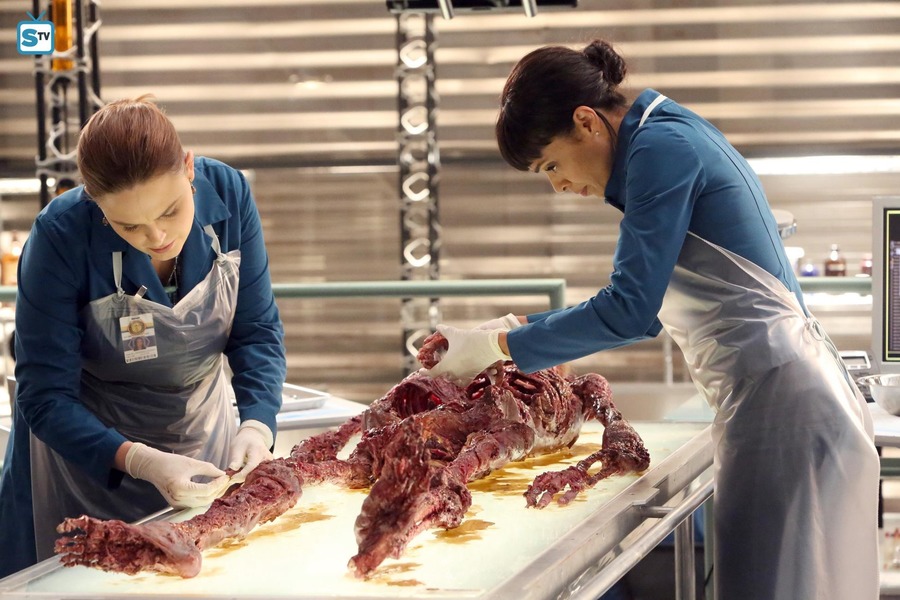 识骨寻踪资料页_娱乐资料库_新浪娱乐_新浪网