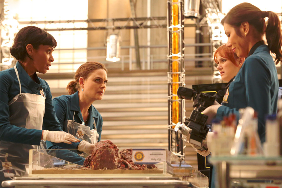 海报剧照剧情:《识骨寻踪》主角david boreanaz,emily deschanel在与