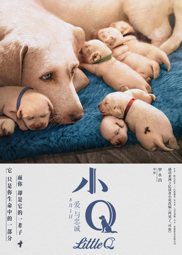 电影《小Q》“天使降临”定档海报
