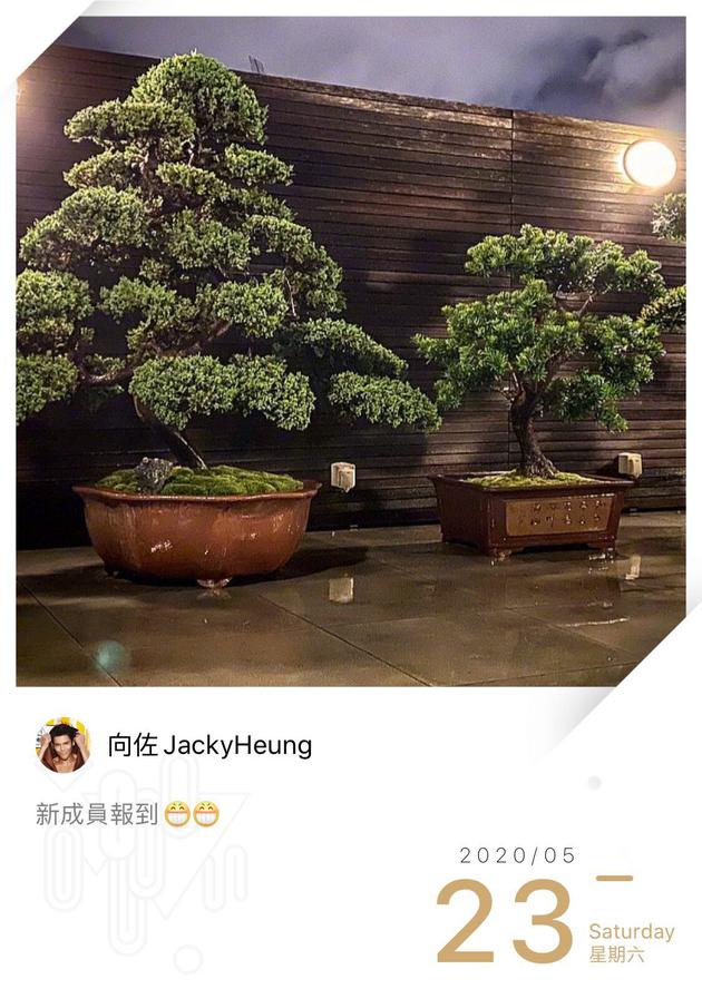 向佐绿洲晒照