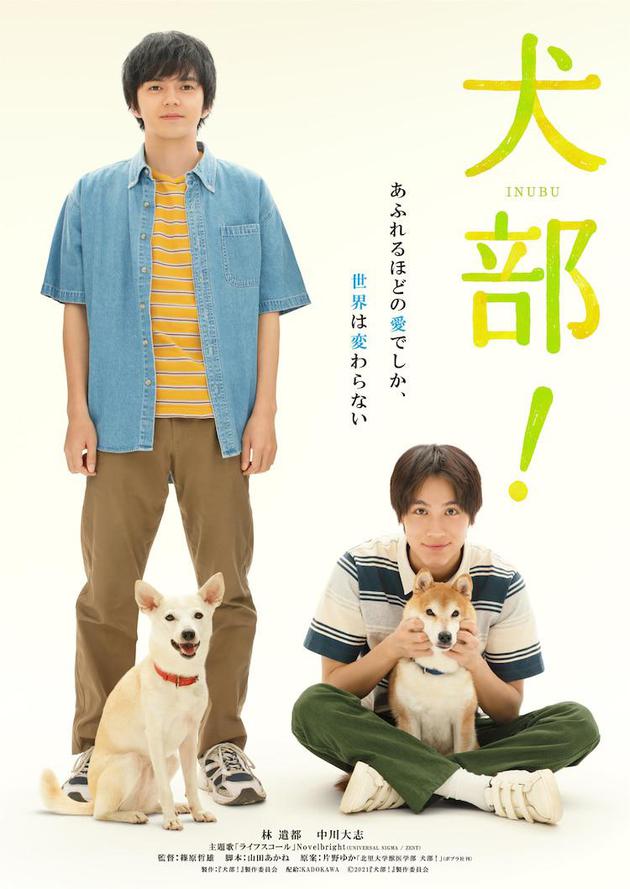 《犬部！》海报