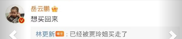 岳云鹏评论林更新