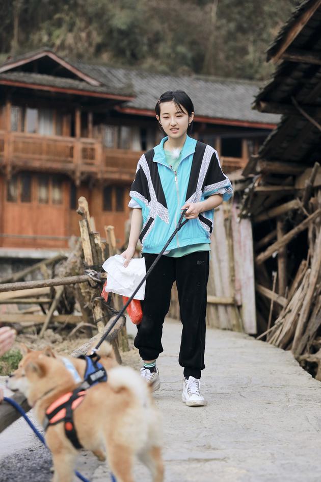 张子枫与柴犬相处