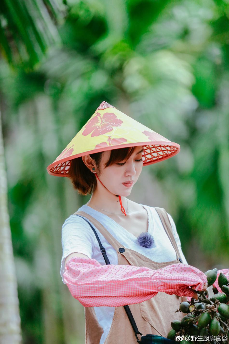 野生厨房资料页_娱乐资料库_新浪娱乐_新浪网