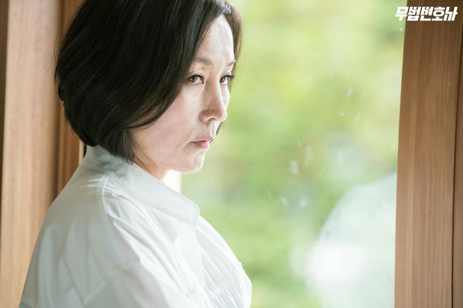 将讲述原本是黑帮成员的男主人公为了替妈妈报仇而成为律师,以一己之
