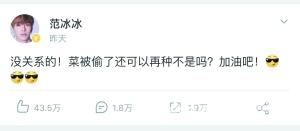 范冰冰力挺弟弟