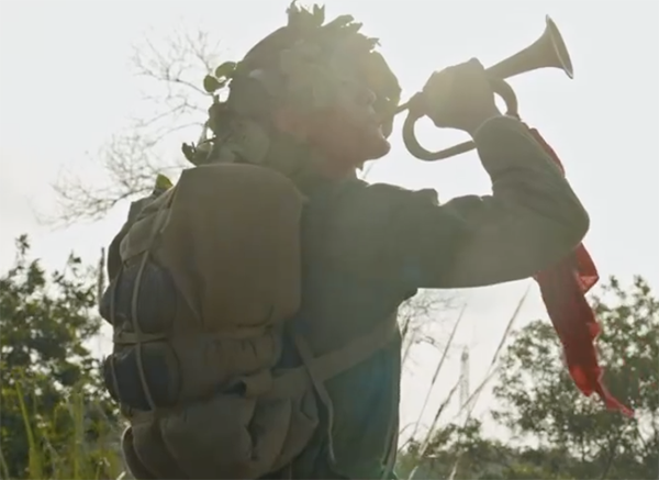 王天辰《芳华》