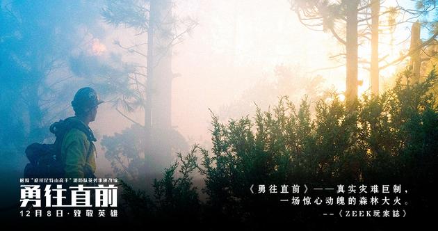 森林还是燃料