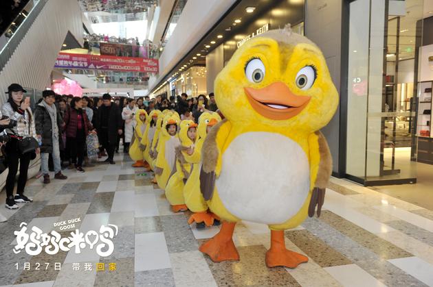 黄淘淘带领小萌鸭开启“群鸭巡游”