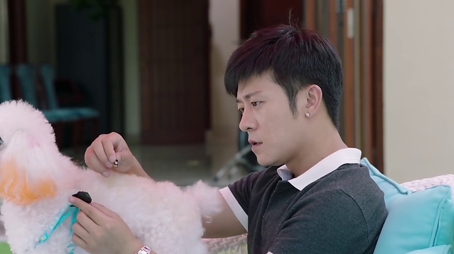 亲密的搭档资料页_娱乐资料库_新浪娱乐_新浪网