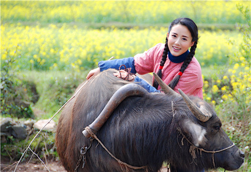 0分剧情:电视剧《油菜花香》根据周亚鹰报告文学《二姐》改编,以上个