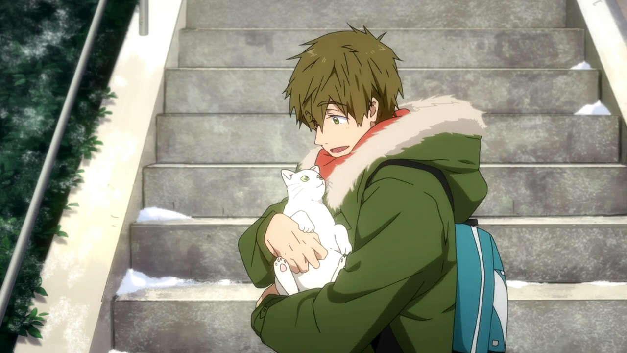 free! 资料页_娱乐资料库_新浪娱乐_新浪网