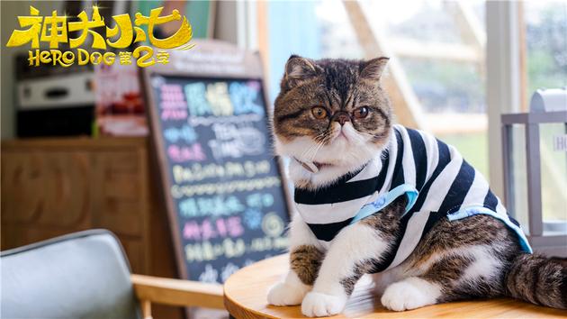 神犬小七2资料页_娱乐资料库_新浪娱乐_新浪网