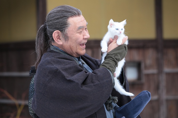 猫侍:玉之丞进军江户资料页_娱乐资料库_新浪娱乐_新浪网