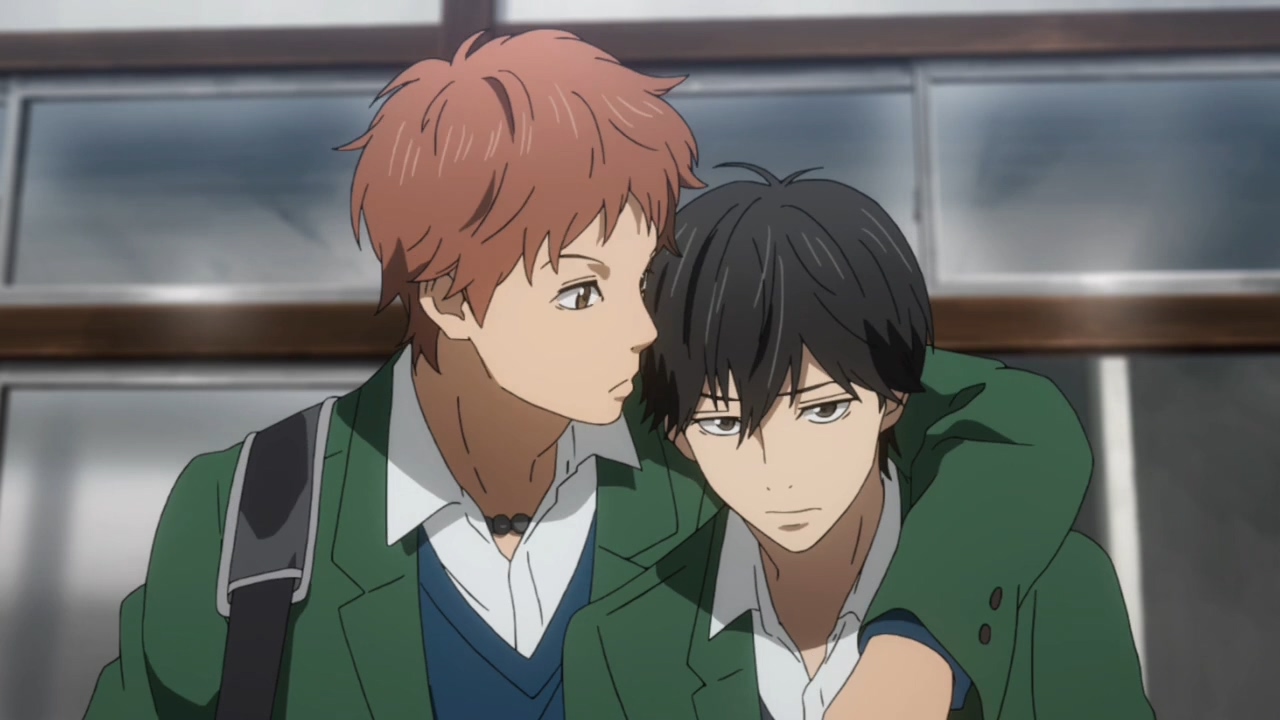 橘色奇迹资料页_娱乐资料库_新浪娱乐_新浪网