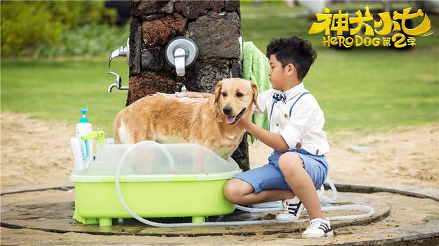 神犬小七2资料页_娱乐资料库_新浪娱乐_新浪网