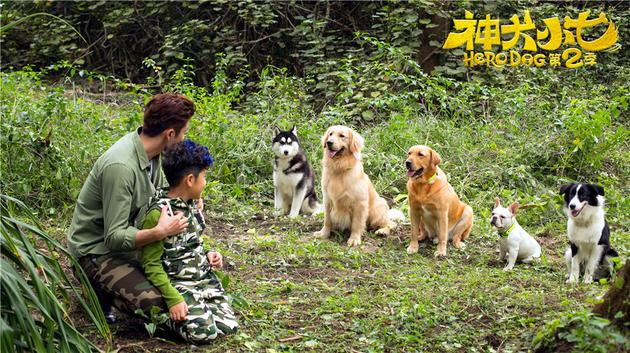 神犬小七2资料页_娱乐资料库_新浪娱乐_新浪网