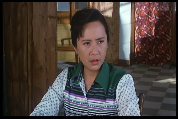 年 香港电影金像奖(hong kong film award) 最佳女配角 叶德娴1992年