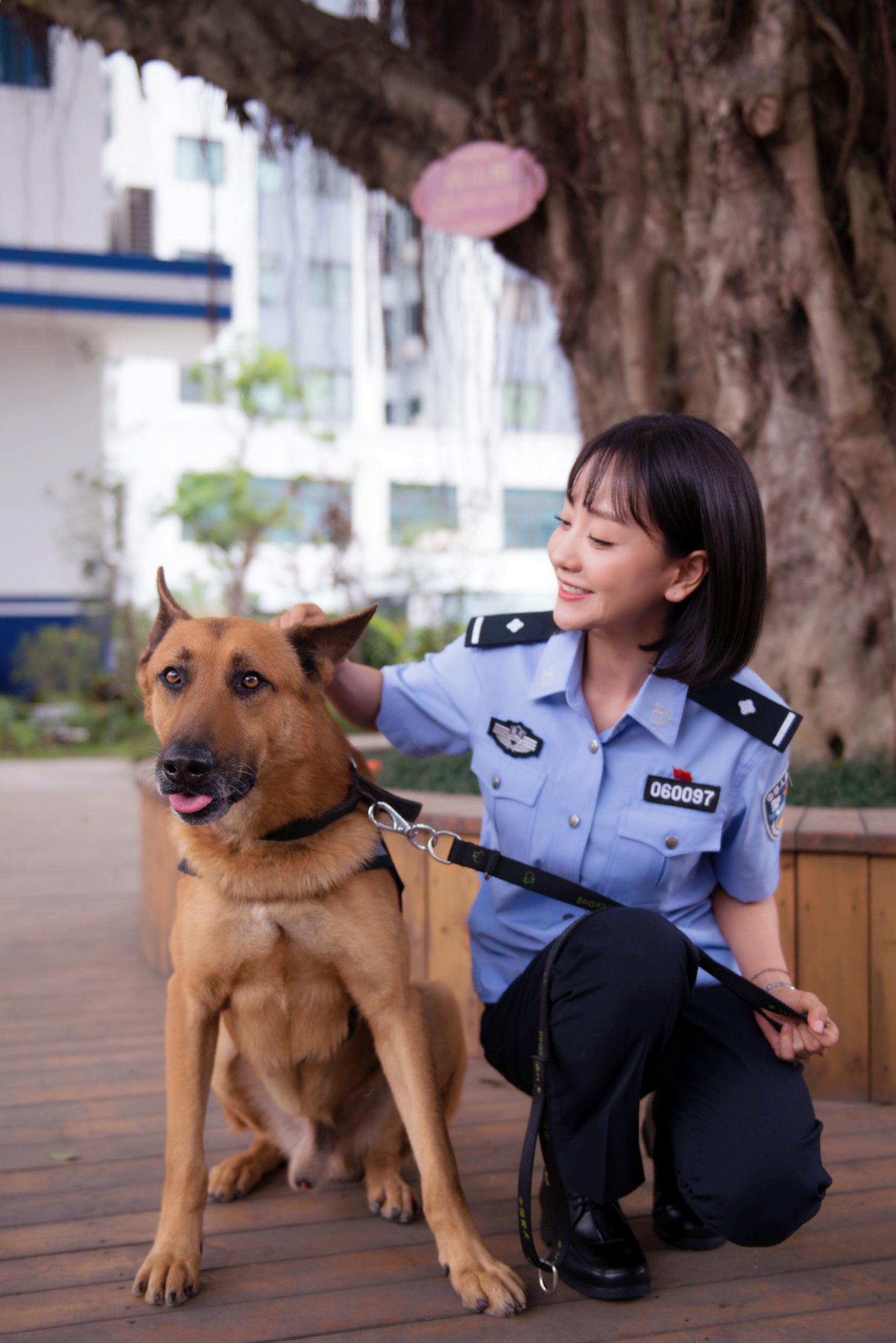 警犬来啦资料页_娱乐资料库_新浪娱乐_新浪网