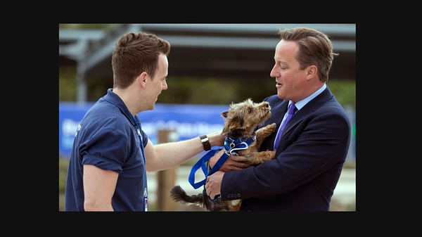 军犬麦克斯2:白宫英雄					   					   					 