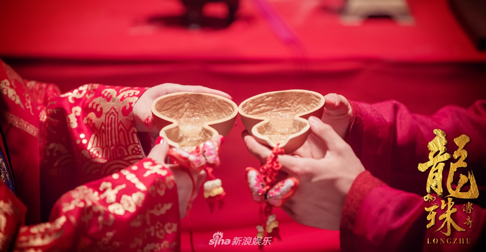 龙珠传奇资料页_娱乐资料库_新浪娱乐_新浪网