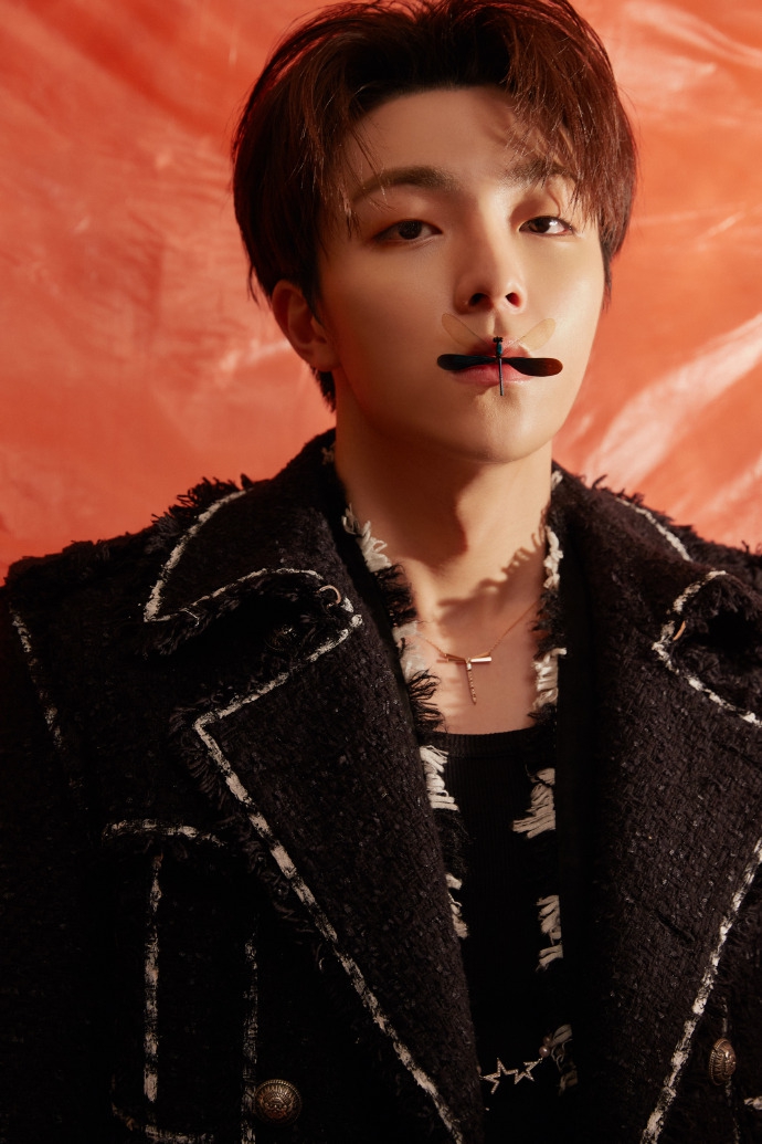 2019微博之夜红毯:陈立农黑色骑士王子装风度翩翩