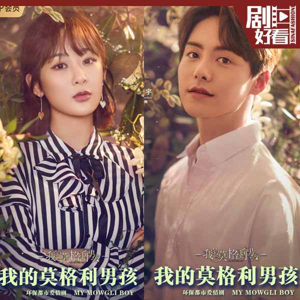 杨紫新剧开播