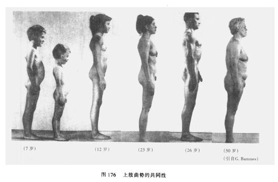 �身上肢在自下垂的静态情况下,上臂部分相对于垂直,假如下臂部分则前倾曲势明显,手臂整体构成前摆趋势