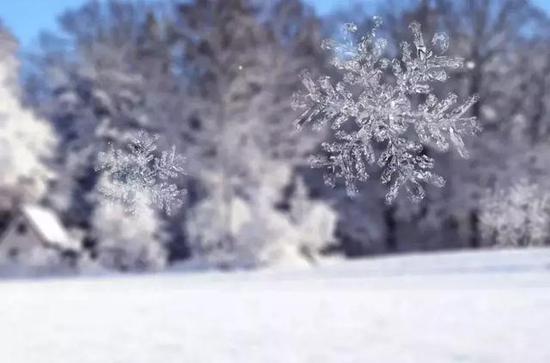 去看雪花飘落的温暖夜里的一盏明灯。