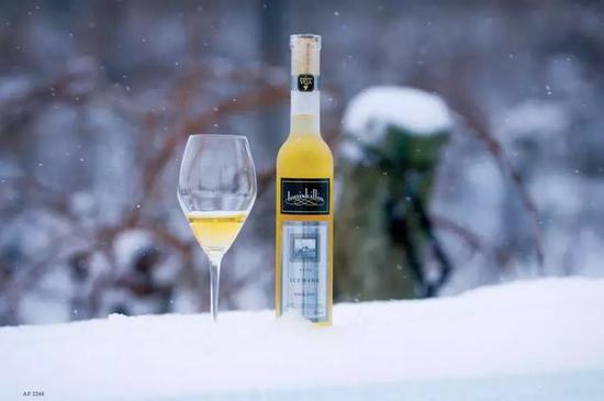 其实，冰酒是利用气温在零下8℃以下，葡萄藤上自然冰冻的葡萄酿造的葡萄酒。