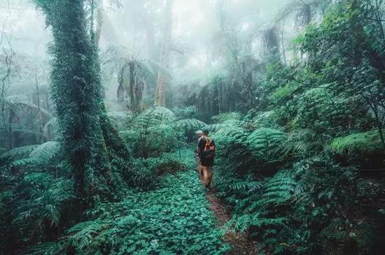 (图:@Jason Charles Hill)
