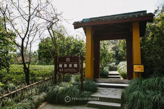永福寺有自己的茶园，别看小小一片，可是有上千年的历史。