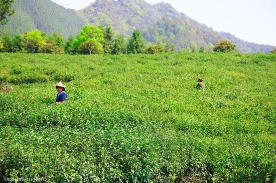 @常山文旅体资讯