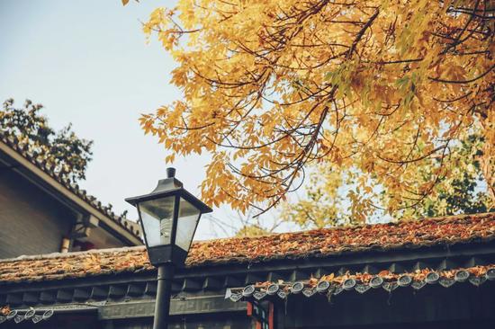 11月来了 有机会一定要去一次北京