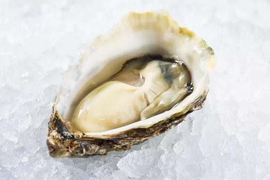 生蚝牛排烤鸭鳗鱼饭假期的城中好味指南