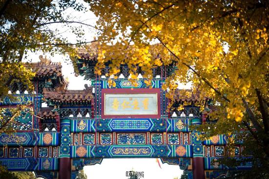 11月来了 有机会一定要去一次北京