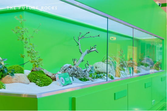 快闪店细节陈设图