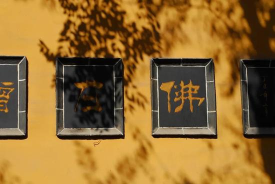 不输大连比肩西安 低调的济南安逸到不想离开